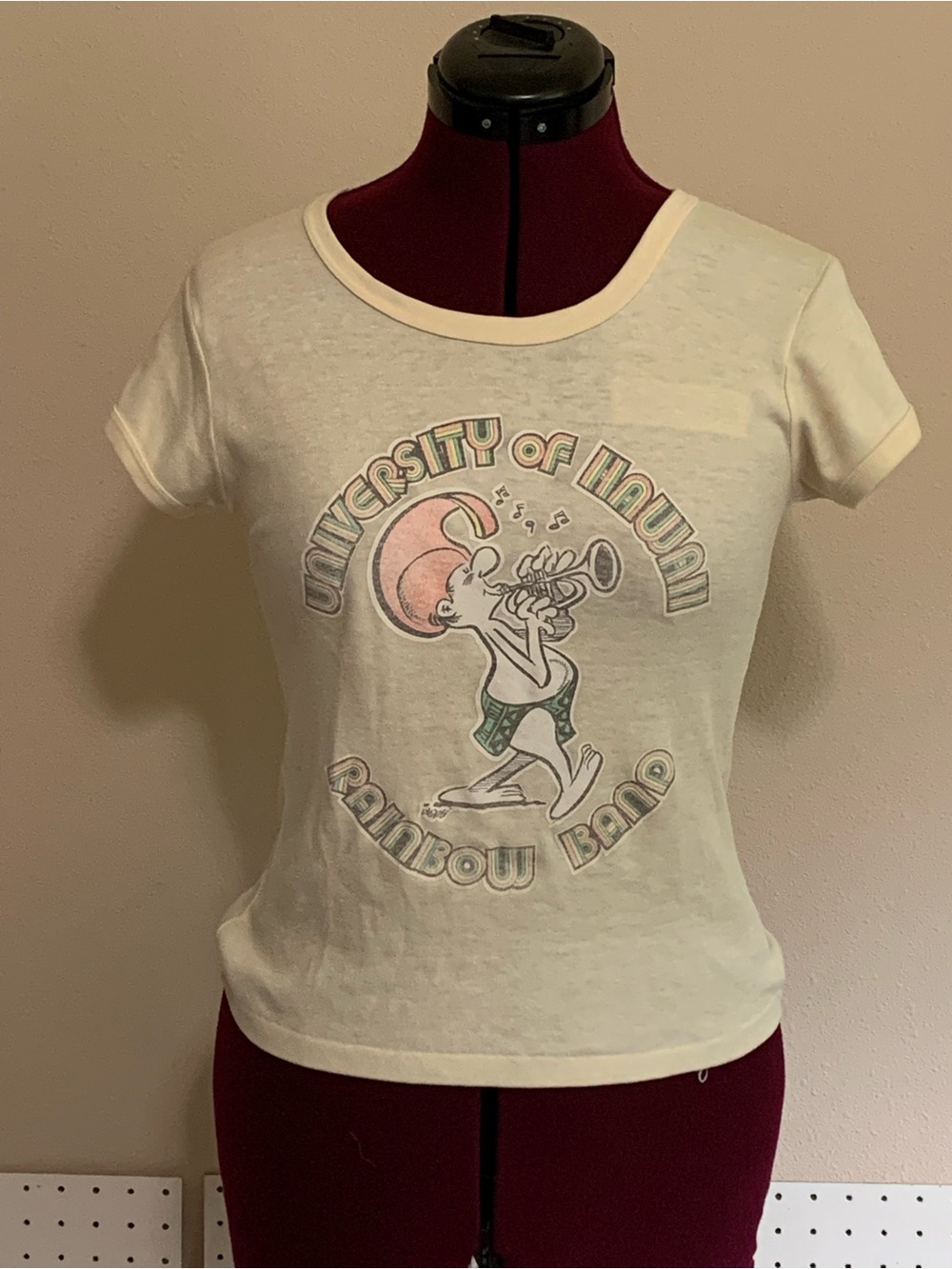 Vintage iron-on university of Hawaii rainbow band T-shirt
